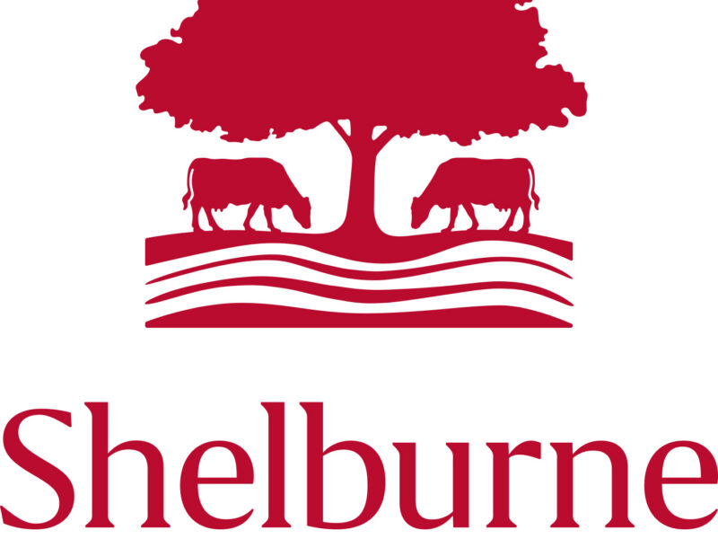 Human Resources Director
