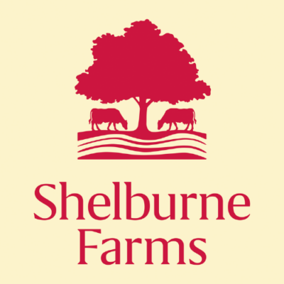 Human Resources Director